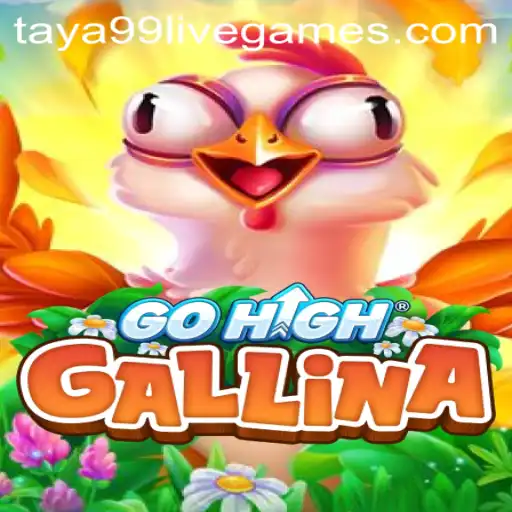 GoHighGallina: An Exciting New Game Experience